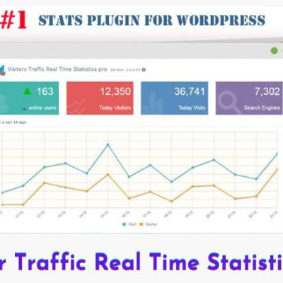 Visitor Traffic Real Time Statistics Pro
